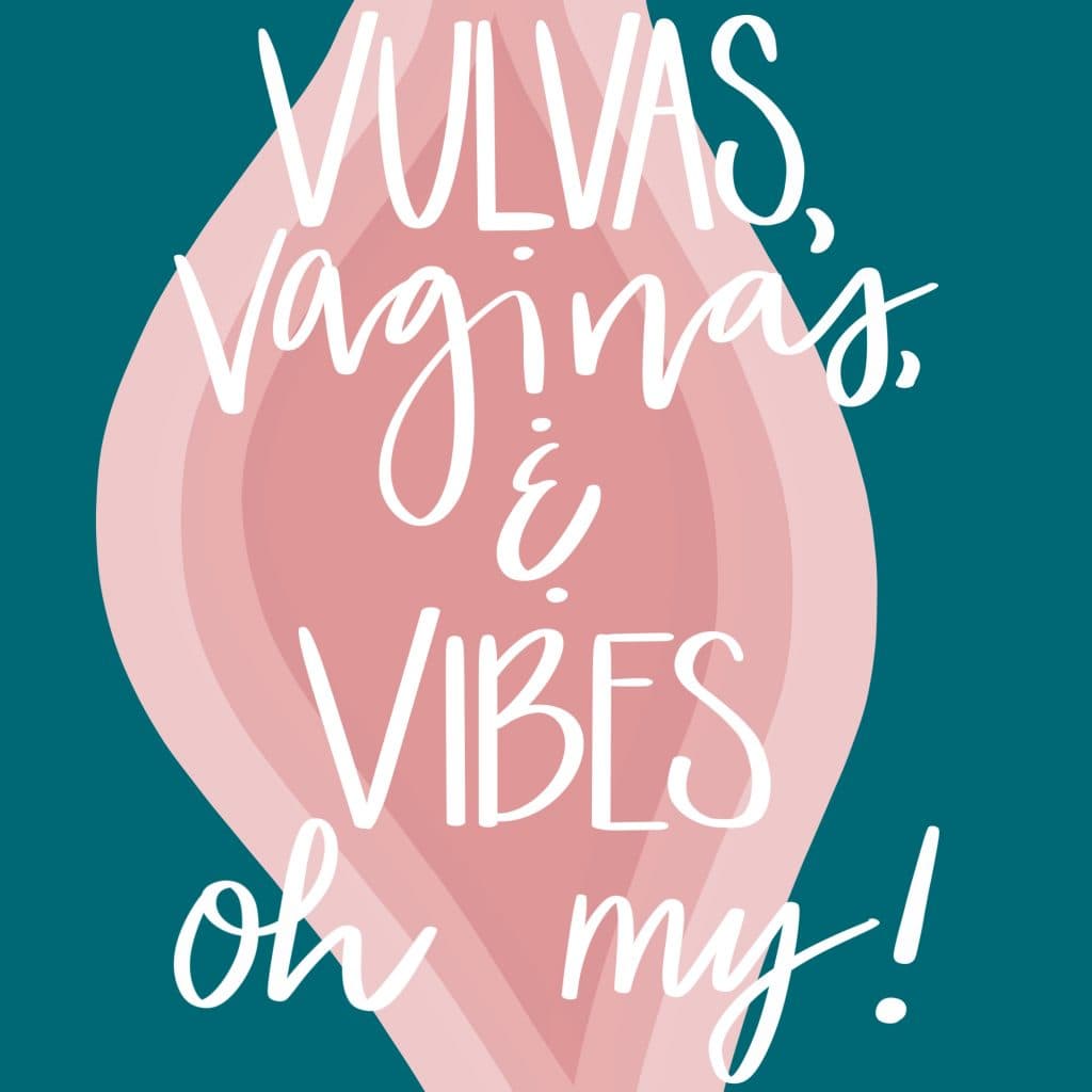 vulvas vaginas and vibes oh my title image toys for vulvas vaginas rachel wright